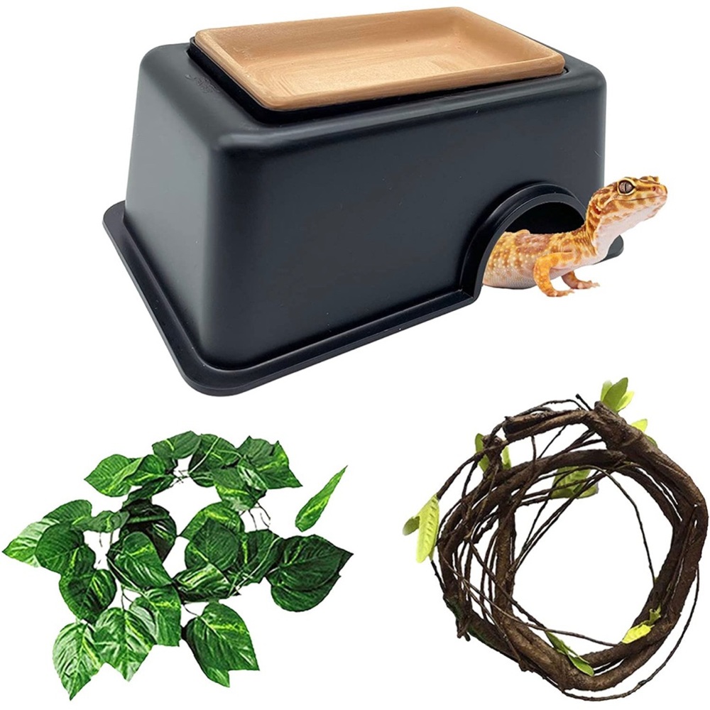 New Reptile Hideout Box with Sink - Humidifier Cave Habitat with Water Supply